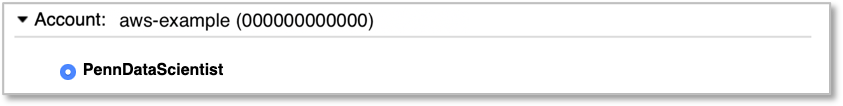 AWS SSO account selector, placeholder account aws-example