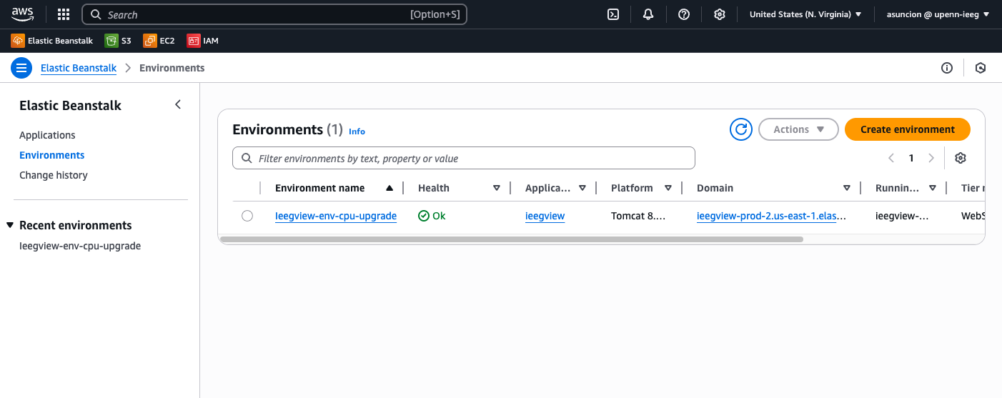 Elastic Beanstalk environments list, single ieegview environment