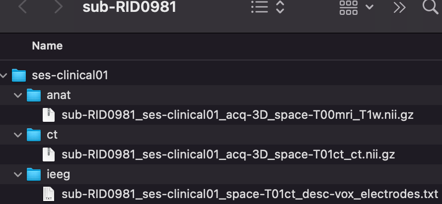 BIDS folder tree for sub-RID0981 (duplicate)