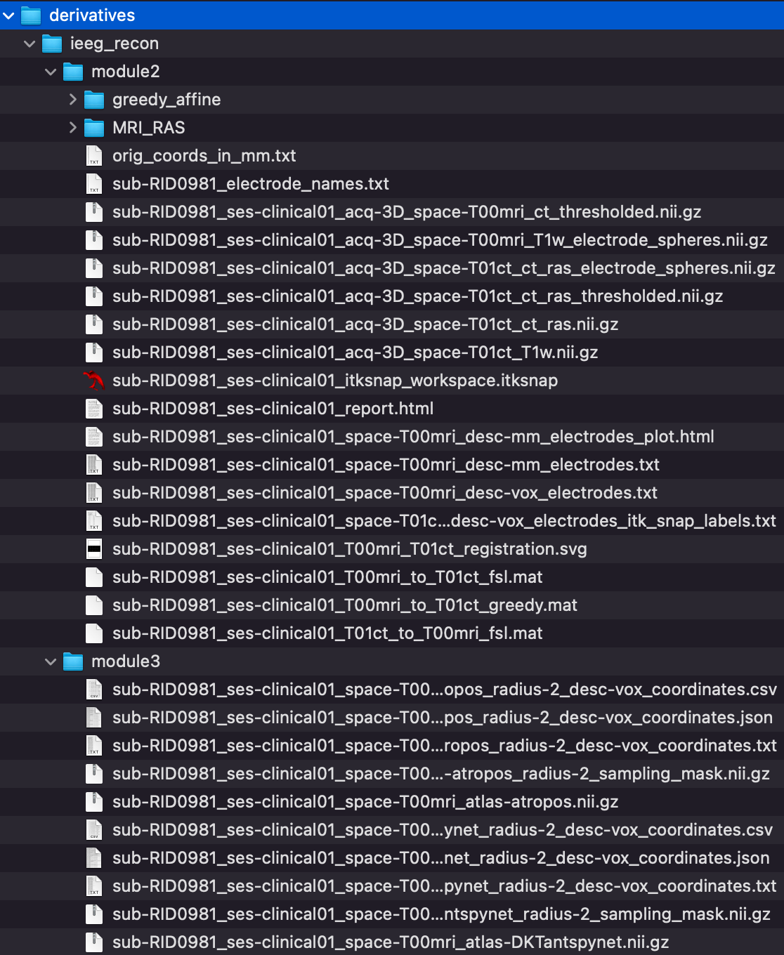 Finder listing of ieeg_recon derivatives for sub-RID0981 (duplicate)