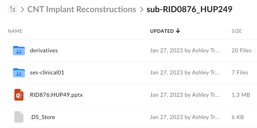 Box folder sub-RID0876_HUP249 contents (derivatives, ses-clinical01, pptx)