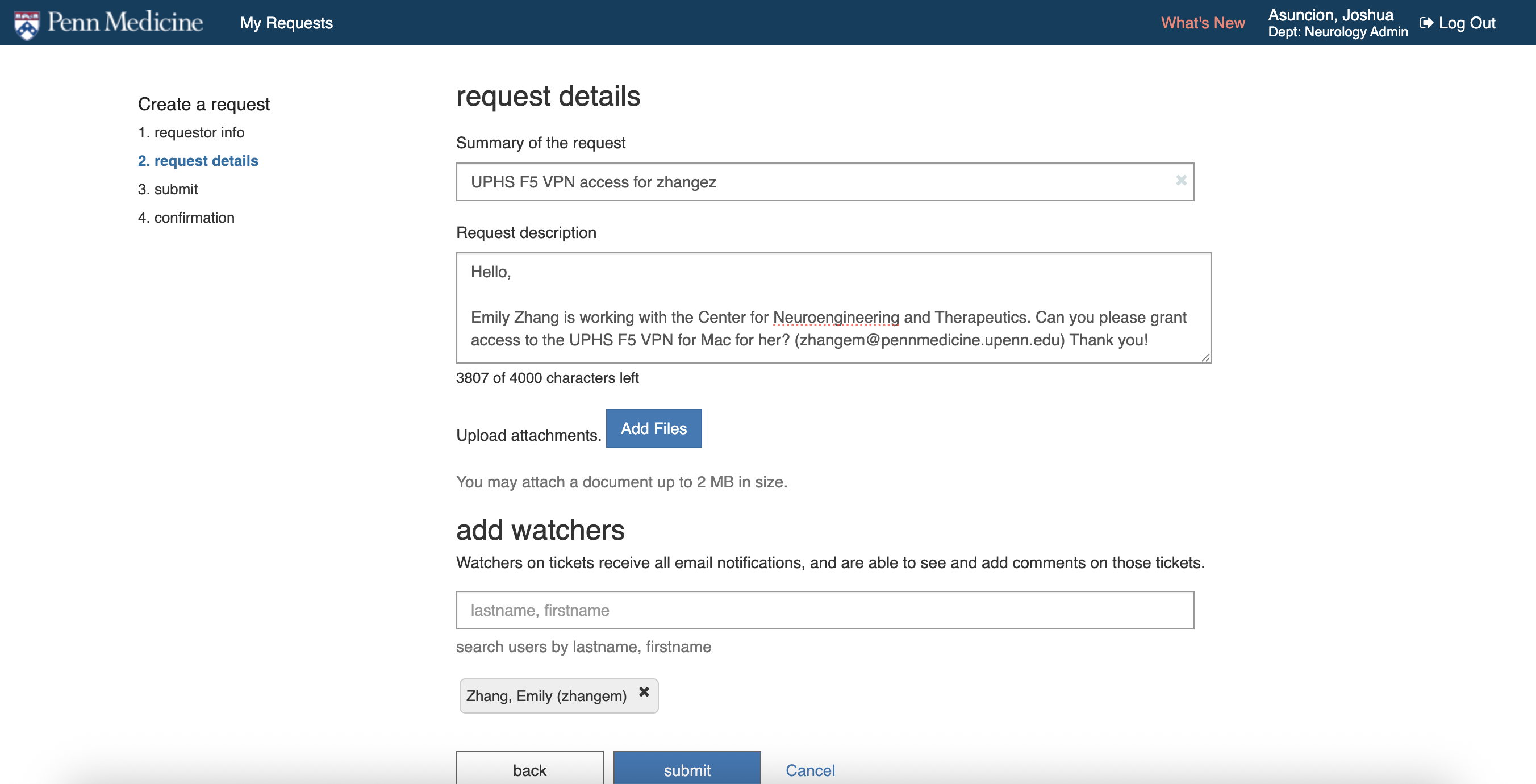 IS portal request details form for staff VPN access